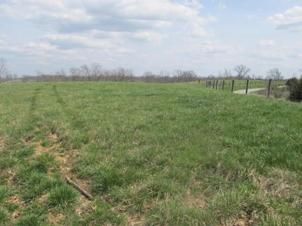 Timberland Property in Harrison County, Kentucky