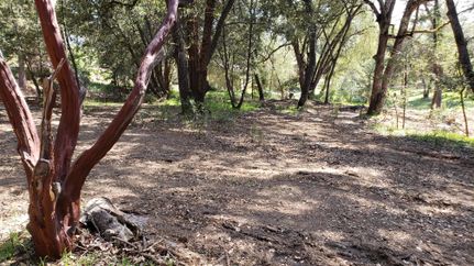Timberland Property in Mariposa County, California