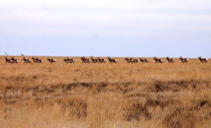 Land in Chaves County, New Mexico