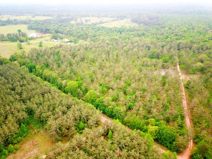 Recreational Property in Angelina County, Texas