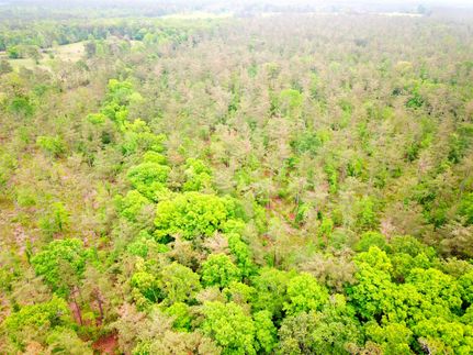 Recreational Property in Angelina County, Texas