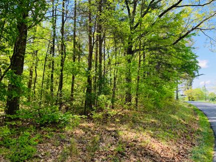 Undeveloped Land in Chattooga County, Georgia