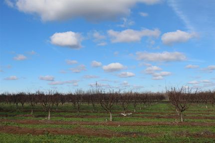 Land in Sutter County, California