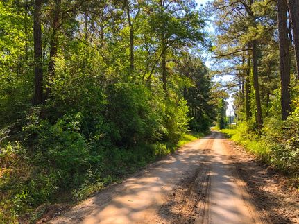 Timberland Property in Trinity County, Texas