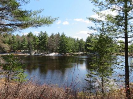 Waterfront Property in Lewis County, New York