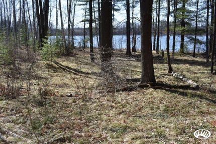 Timberland Property in Marinette County, Wisconsin