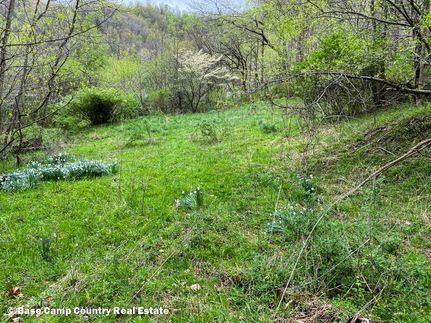Land in Scioto County, Ohio