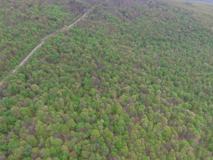 Recreational Property in Bedford County, Pennsylvania