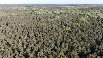 Recreational Property in Greenwood County, South Carolina