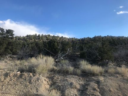 Farm and Ranch in Duchesne County, Utah