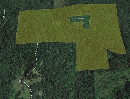 Timberland Property in Yamhill County, Oregon