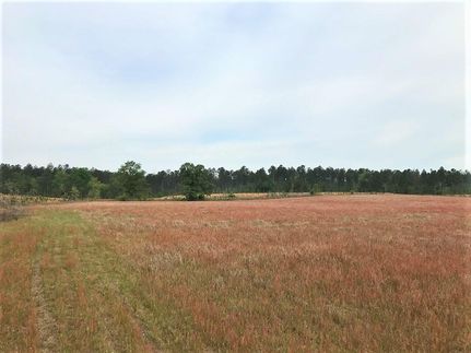 Land in Aiken County, South Carolina