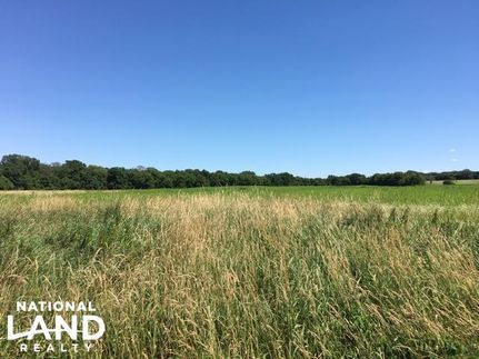 Undeveloped Land in Olmsted County, Minnesota