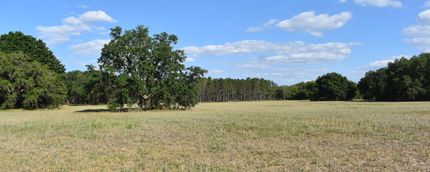 Undeveloped Land in Lake County, Florida