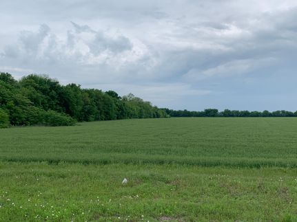 Land in Lamar County, Texas
