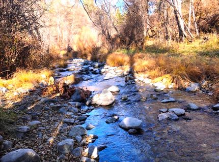 Waterfront Property in Trinity County, California
