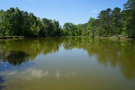Timberland Property in Montgomery County, Alabama