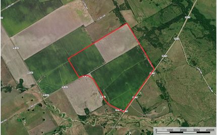 Timberland Property in Limestone County, Texas