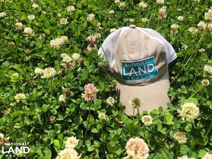 Timberland Property in Itawamba County, Mississippi