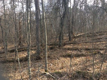 Land in Crow Wing County, Minnesota