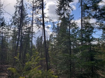 Recreational Property in Stevens County, Washington