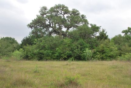 Undeveloped Land in Fayette County, Texas