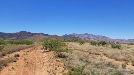 Timberland Property in Cochise County, Arizona