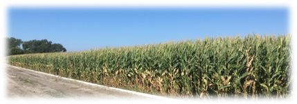 Land in Dawson County, Nebraska