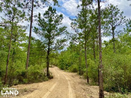 Land in Baldwin County, Alabama