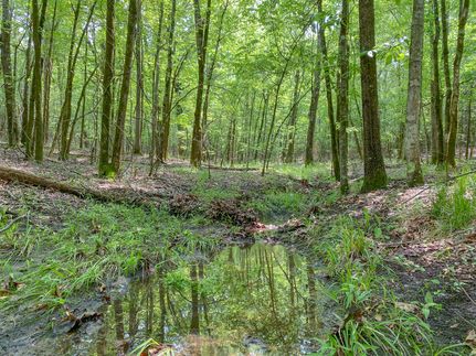 Farm and Ranch in Bowie County, Texas