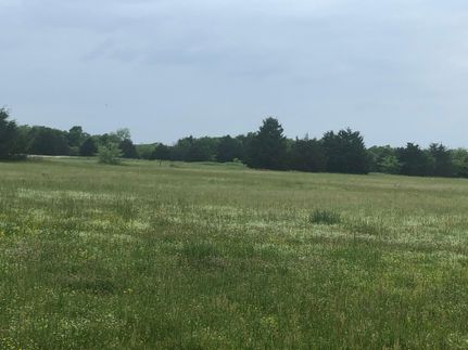 Timberland Property in Hopkins County, Texas