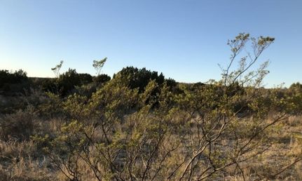 Timberland Property in Val Verde County, Texas