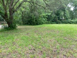Undeveloped Land in Houston County, Texas