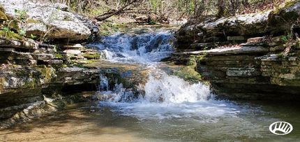 Timberland Property in Searcy County, Arkansas