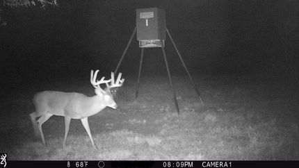 Timberland Property in Houston County, Texas