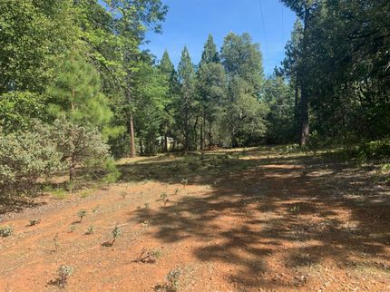 Timberland Property in Amador County, California