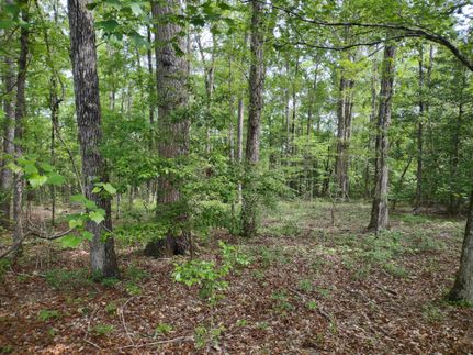 Timberland Property in Barbour County, Alabama