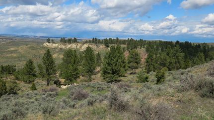 Undeveloped Land in Sheridan County, Wyoming