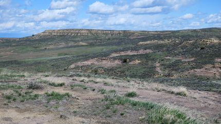 Undeveloped Land in Sheridan County, Wyoming