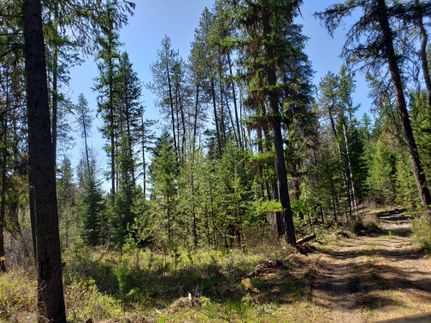 Undeveloped Land in Stevens County, Washington