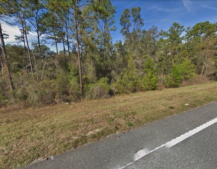 Undeveloped Land in Lake County, Florida