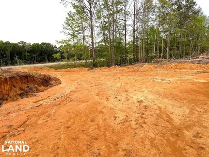 Timberland Property in Attala County, Mississippi