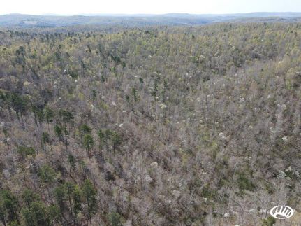 Timberland Property in Searcy County, Arkansas