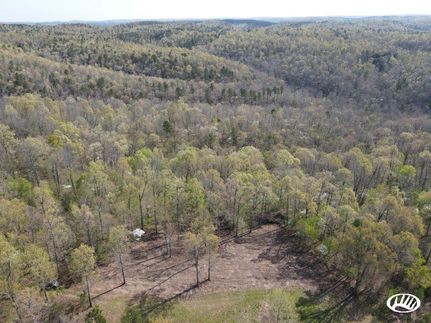 Timberland Property in Searcy County, Arkansas