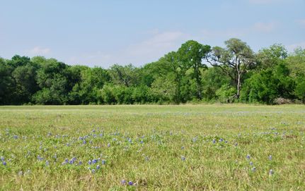 Undeveloped Land in Lavaca County, Texas