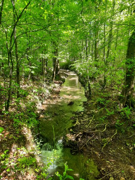 Farm and Ranch in Blount County, Alabama