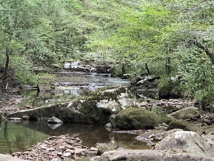 Hunting Property in Cleburne County, Arkansas