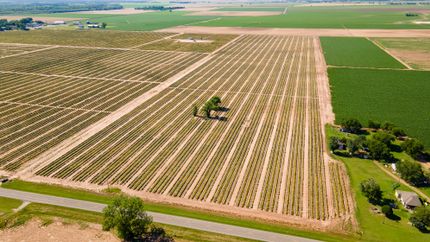 Farm and Ranch in Brazos County, Texas