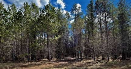 Timberland Property in Burnett County, Wisconsin