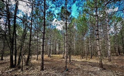 Timberland Property in Burnett County, Wisconsin